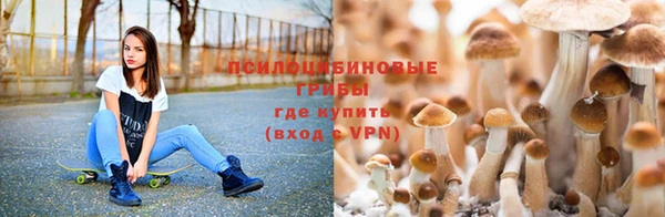 каннабис Елизово