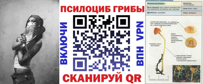 Галлюциногенные грибы мицелий  Купить где  Железноводск 